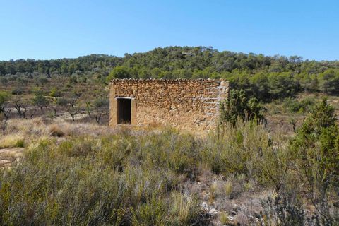 Finca i Maella, Zaragoza, Maella - € 16.500 | Ref: 0959 - foto 11
