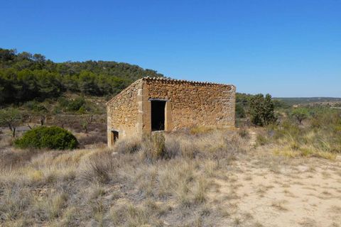 Finca i Maella, Zaragoza, Maella - € 16.500 | Ref: 0959 - foto 1