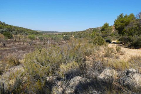 Finca i Maella, Zaragoza, Maella - € 16.500 | Ref: 0959 - foto 13