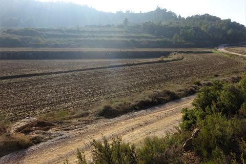 Finca i Maella, Zaragoza, Maella - € 26.000 | Ref: 0835 - foto 8