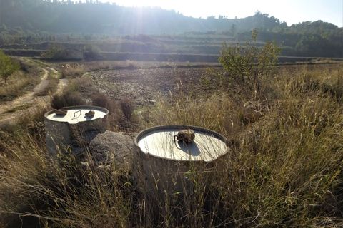Finca i Maella, Zaragoza, Maella - € 26.000 | Ref: 0835 - foto 6