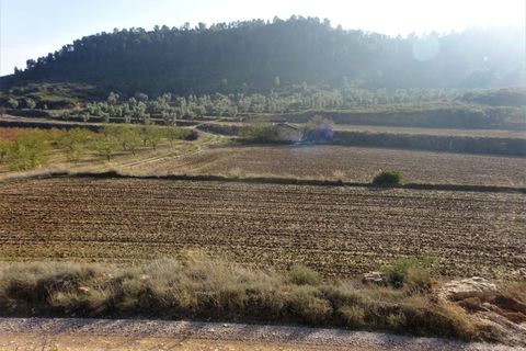 Finca i Maella, Zaragoza, Maella - € 26.000 | Ref: 0835 - foto 7