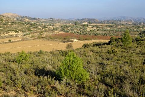Finca i Maella, Zaragoza, Maella - € 26.000 | Ref: 0835 - foto 12