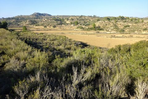 Finca i Maella, Zaragoza, Maella - € 26.000 | Ref: 0835 - foto 11