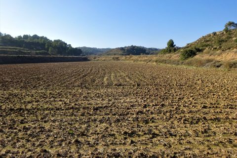 Finca i Maella, Zaragoza, Maella - € 26.000 | Ref: 0835 - foto 9