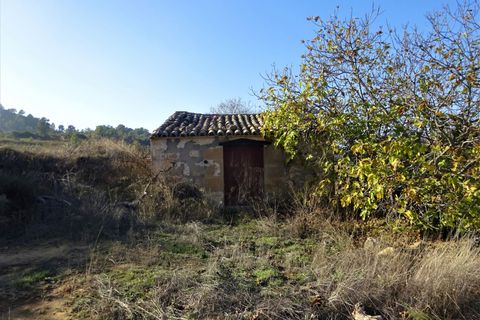 Finca i Maella, Zaragoza, Maella - € 26.000 | Ref: 0835 - foto 10