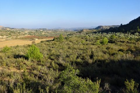 Finca i Maella, Zaragoza, Maella - € 26.000 | Ref: 0835 - foto 13