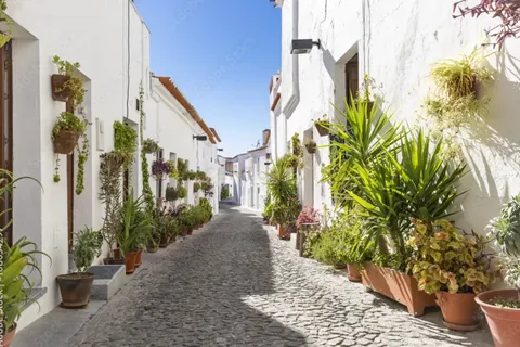 Villa i Moura, Beja, Moura - € 80.000 | Ref: C0486-00115 - foto 6
