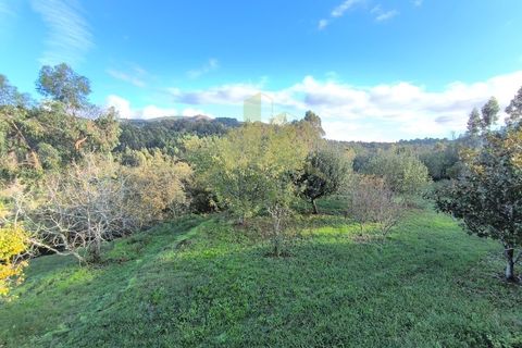 Villa i Ponte de Lima, Viana do Castelo, Ponte de Lima - € 450.000 | Ref: SG-0033 - foto 25