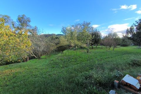 Villa i Ponte de Lima, Viana do Castelo, Ponte de Lima - € 450.000 | Ref: SG-0033 - foto 26