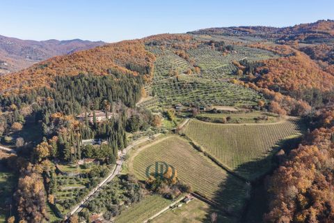 Landejendom i Arezzo, Arezzo, Arezzo - € 18.000.000 | Ref: 85323628 - foto 2