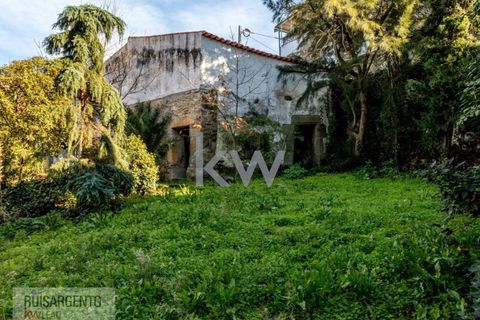 Villa a Penamacor, Castelo Branco, Penamacor - € 199.990 | Ref: CAS_170RSKWPT-009027 - foto 30