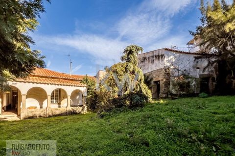 Villa a Penamacor, Castelo Branco, Penamacor - € 199.990 | Ref: CAS_170RSKWPT-009027 - foto 37