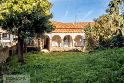 Villa a Penamacor, Castelo Branco, Penamacor - € 199.990 | Ref: CAS_170RSKWPT-009027 - foto 39