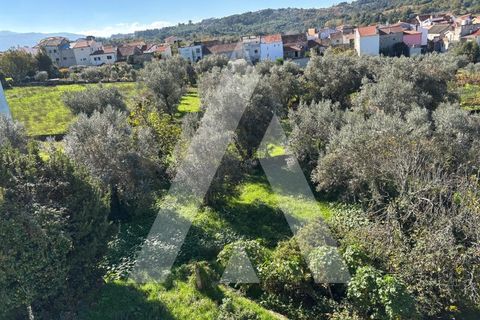 Villa i Gouveia, Guarda, Gouveia - € 345.000 | Ref: 1030873/24BL - foto 26