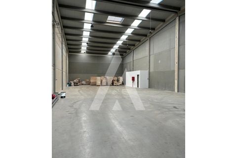 Erhvervsejendom i Paredes, Porto, Paredes - € 638.500 | Ref: 1360057/25PN - foto 9