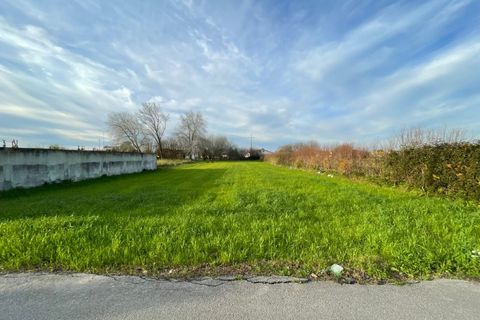 Terra a Murtosa, Aveiro, Murtosa - € 40.000 | Ref: 564 - foto 2