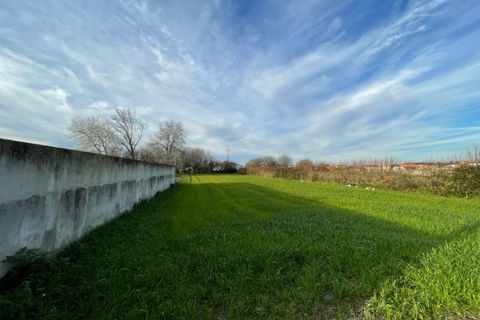 Terra a Murtosa, Aveiro, Murtosa - € 40.000 | Ref: 564 - foto 3