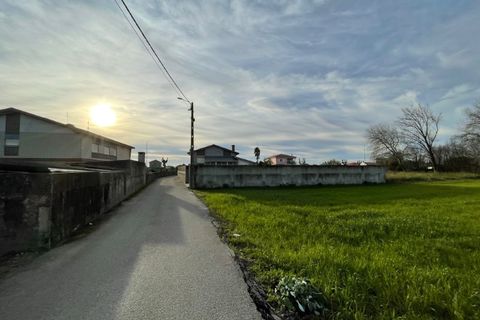 Terra a Murtosa, Aveiro, Murtosa - € 40.000 | Ref: 564 - foto 4