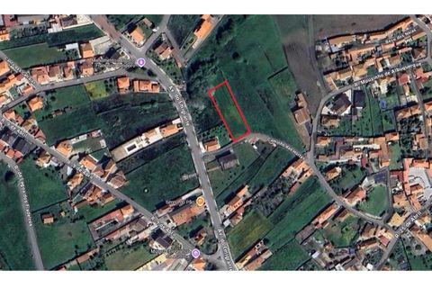 Terra a Murtosa, Aveiro, Murtosa - € 40.000 | Ref: 564 - foto 6