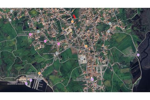 Terra a Murtosa, Aveiro, Murtosa - € 40.000 | Ref: 564 - foto 7