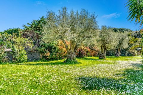 Villa a Antibes, Alpes-Maritimes, Antibes - € 2.495.000 | Ref: HH-15656068 - foto 13
