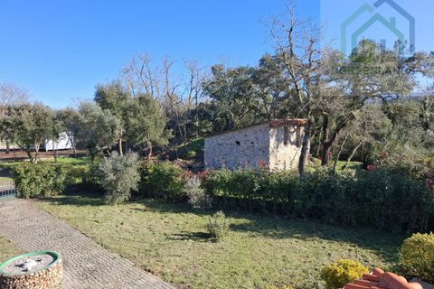 Landejendom i Arganil, Coimbra, Arganil - € 250.000 | Ref: 623 - foto 8