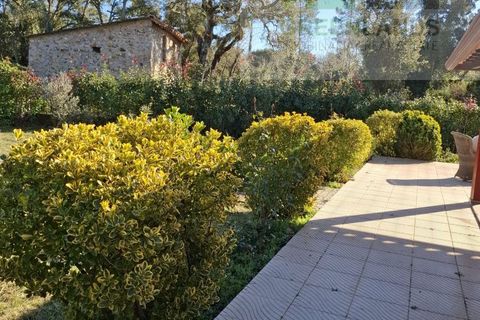 Landejendom i Arganil, Coimbra, Arganil - € 250.000 | Ref: 623 - foto 19