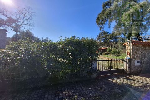 Landejendom i Arganil, Coimbra, Arganil - € 250.000 | Ref: 623 - foto 21