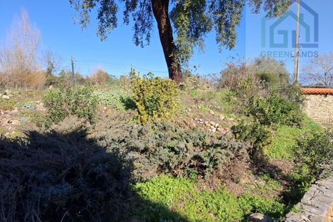 Landejendom i Arganil, Coimbra, Arganil - € 250.000 | Ref: 623 - foto 22