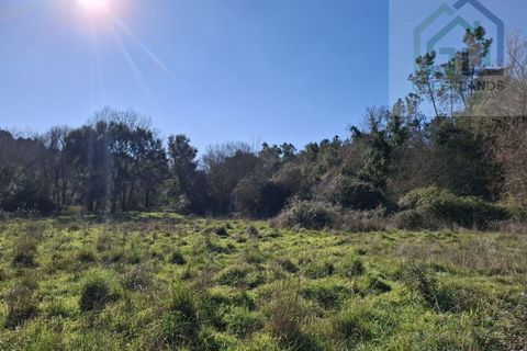 Landejendom i Arganil, Coimbra, Arganil - € 250.000 | Ref: 623 - foto 23
