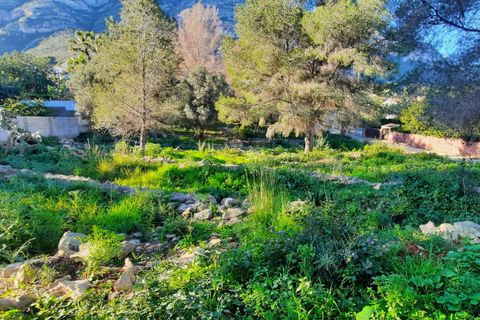 Terra a Denia, Alicante, Denia - € 412.000 | Ref: L001649 - foto 6