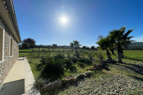 Villa a Alcudia, Mallorca, Alcudia - € 2.500/mes | Ref: R26983 - foto 2