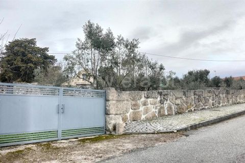 Helårsgrund i Mangualde, Viseu, Mangualde - € 49.000 | Ref: 389250018 - foto 3