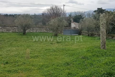 Helårsgrund i Mangualde, Viseu, Mangualde - € 49.000 | Ref: 389250018 - foto 4