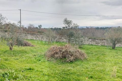 Helårsgrund i Mangualde, Viseu, Mangualde - € 49.000 | Ref: 389250018 - foto 5
