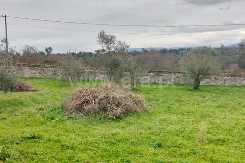 Helårsgrund i Mangualde, Viseu, Mangualde - € 49.000 | Ref: 389250018 - foto 6