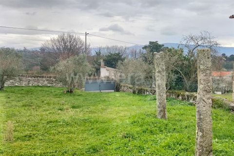 Helårsgrund i Mangualde, Viseu, Mangualde - € 49.000 | Ref: 389250018 - foto 7