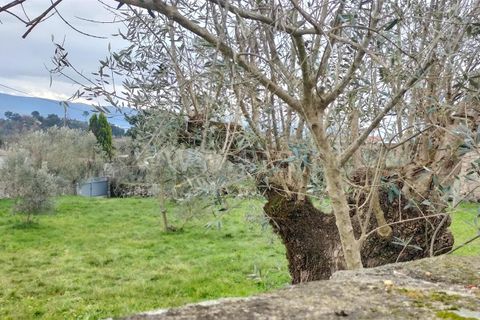 Helårsgrund i Mangualde, Viseu, Mangualde - € 49.000 | Ref: 389250018 - foto 1