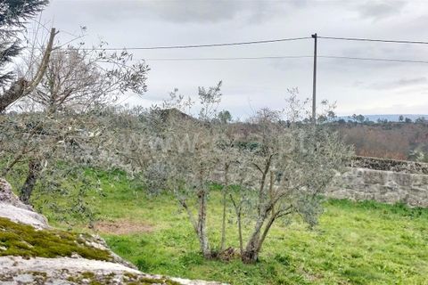 Helårsgrund i Mangualde, Viseu, Mangualde - € 49.000 | Ref: 389250018 - foto 8