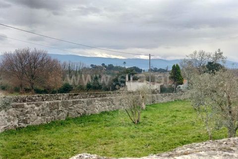 Helårsgrund i Mangualde, Viseu, Mangualde - € 49.000 | Ref: 389250018 - foto 9