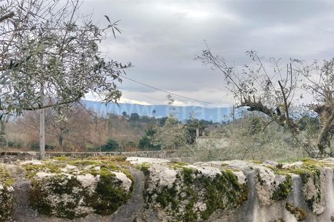 Helårsgrund i Mangualde, Viseu, Mangualde - € 49.000 | Ref: 389250018 - foto 10