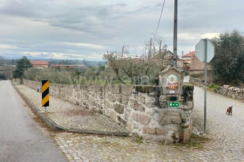 Helårsgrund i Mangualde, Viseu, Mangualde - € 49.000 | Ref: 389250018 - foto 12