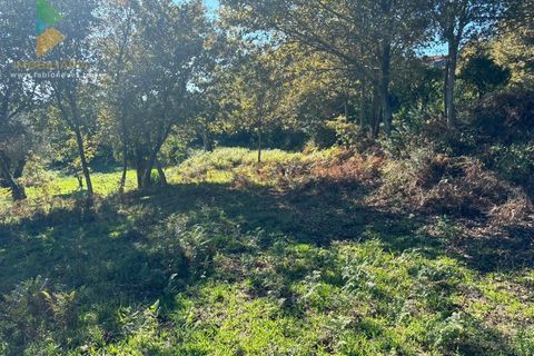 Helårsgrund i Vila Verde, Braga, Vila Verde - € 135.000 | Ref: PTL-001-079 - foto 4