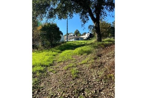 Helårsgrund i Vila Verde, Braga, Vila Verde - € 135.000 | Ref: PTL-001-079 - foto 5