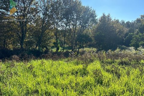 Helårsgrund i Vila Verde, Braga, Vila Verde - € 135.000 | Ref: PTL-001-079 - foto 7