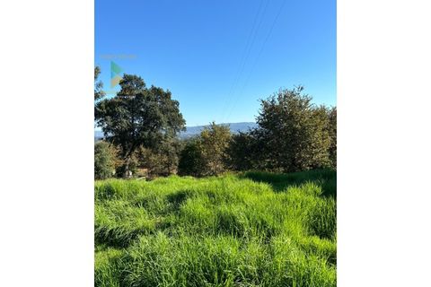 Helårsgrund i Vila Verde, Braga, Vila Verde - € 135.000 | Ref: PTL-001-079 - foto 12