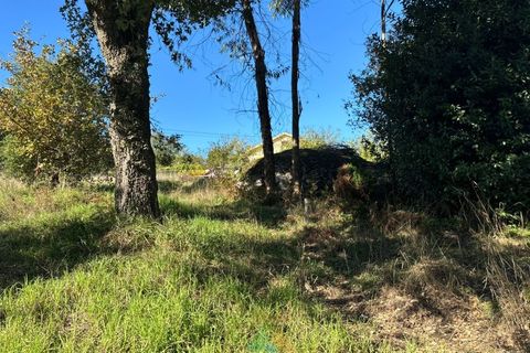 Helårsgrund i Vila Verde, Braga, Vila Verde - € 135.000 | Ref: PTL-001-079 - foto 13