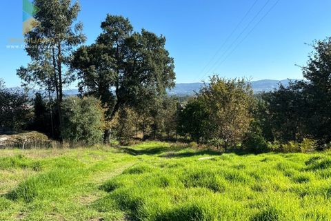 Helårsgrund i Vila Verde, Braga, Vila Verde - € 135.000 | Ref: PTL-001-079 - foto 14