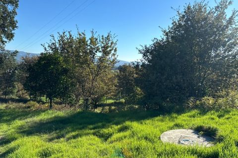 Helårsgrund i Vila Verde, Braga, Vila Verde - € 135.000 | Ref: PTL-001-079 - foto 16